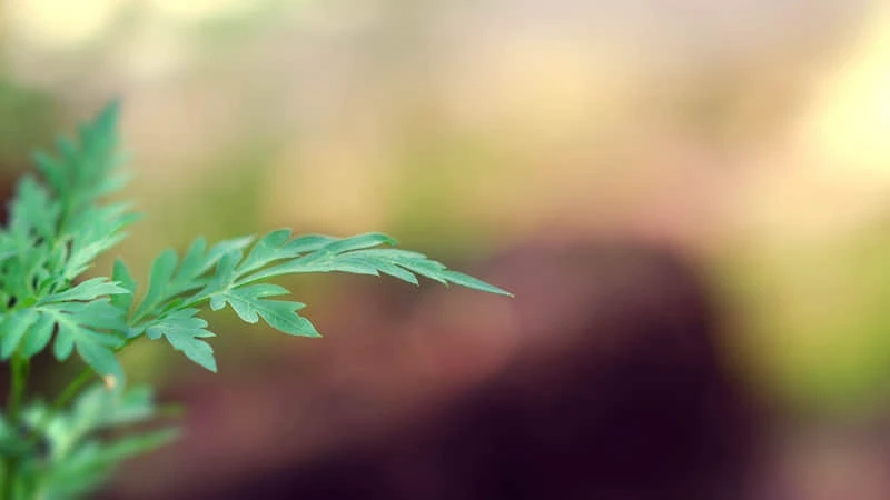 如何制定智能篮球训练计划_2